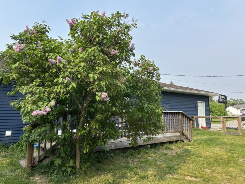 RentalsMLS Rental Additional Image