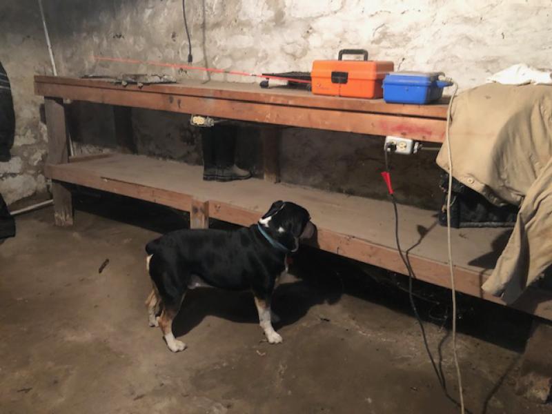 RentalsMLS Rental Additional Image