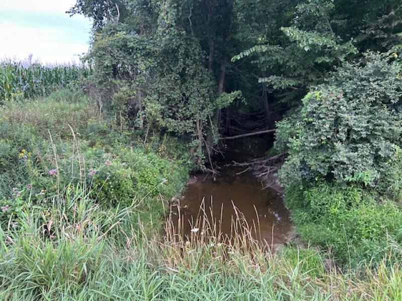 RentalsMLS Rental Additional Image