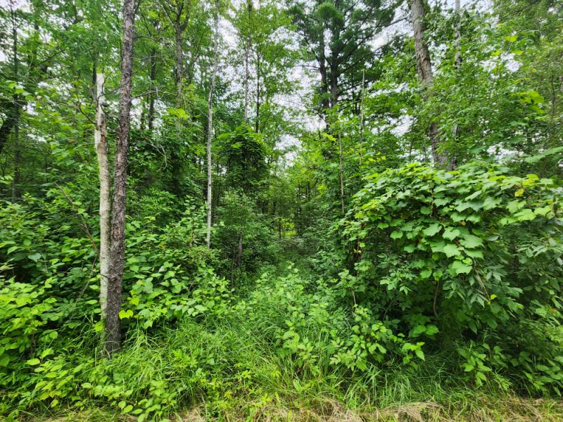 RentalsMLS Rental Main Image