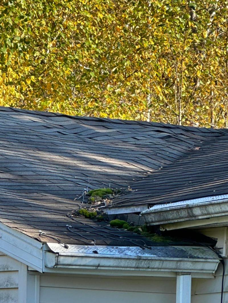 RentalsMLS Rental Additional Image