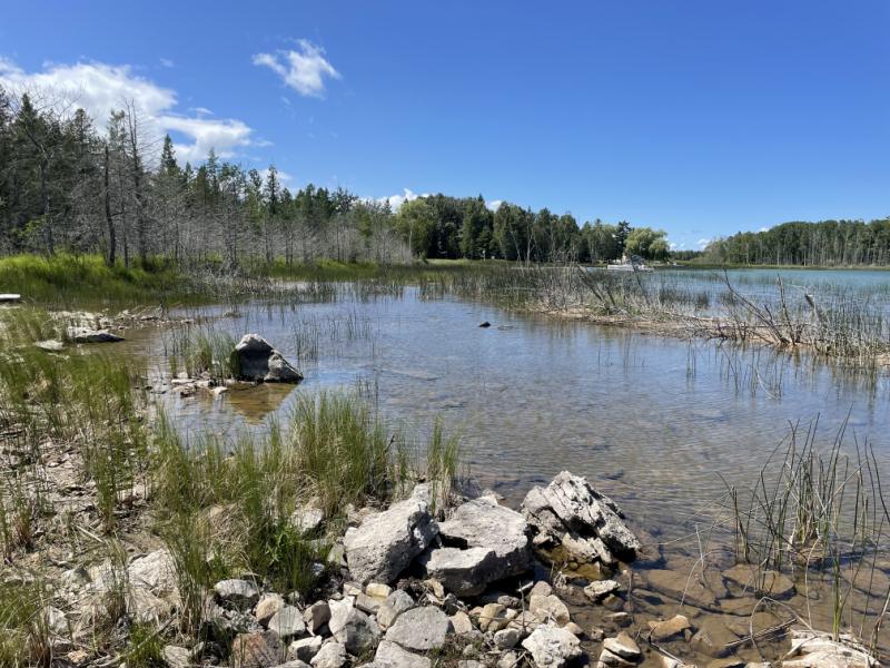 RentalsMLS Rental Additional Image