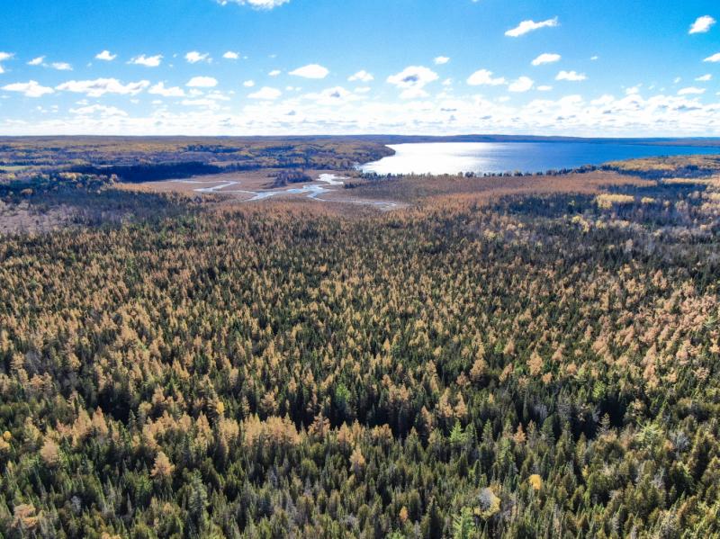 RentalsMLS Rental Main Image