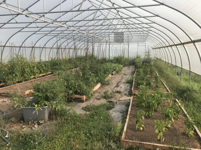 RentalsMLS Rental Additional Image