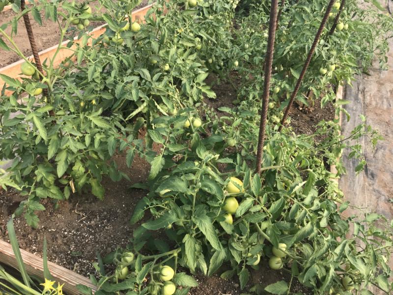 RentalsMLS Rental Additional Image