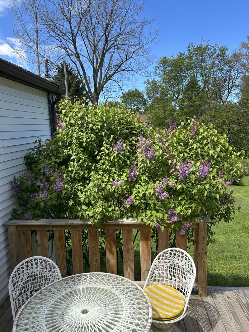 RentalsMLS Rental Additional Image