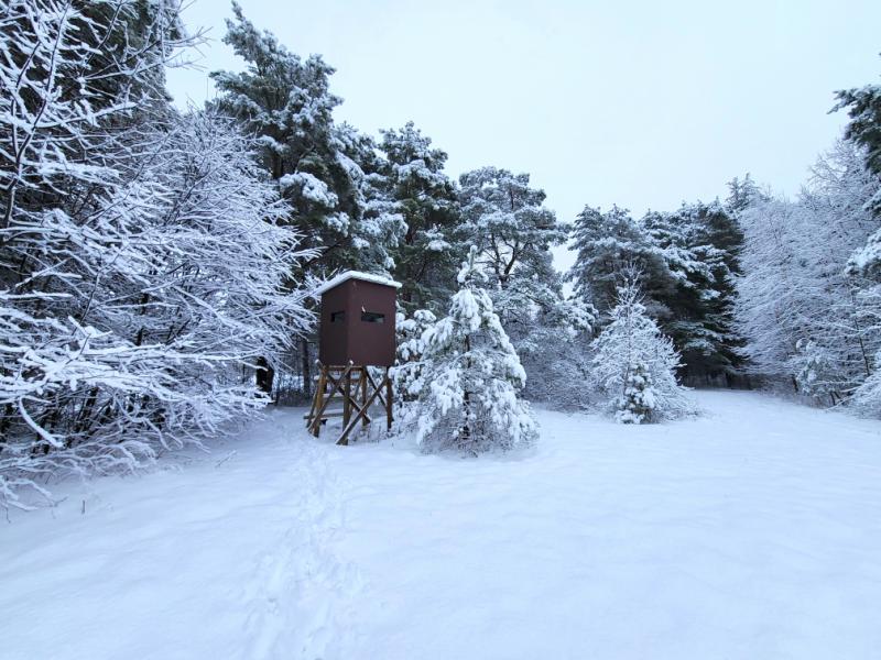 RentalsMLS Rental Additional Image