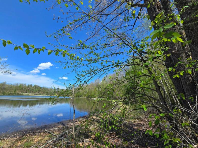 RentalsMLS Rental Additional Image