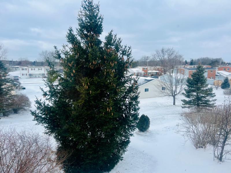 RentalsMLS Rental Additional Image