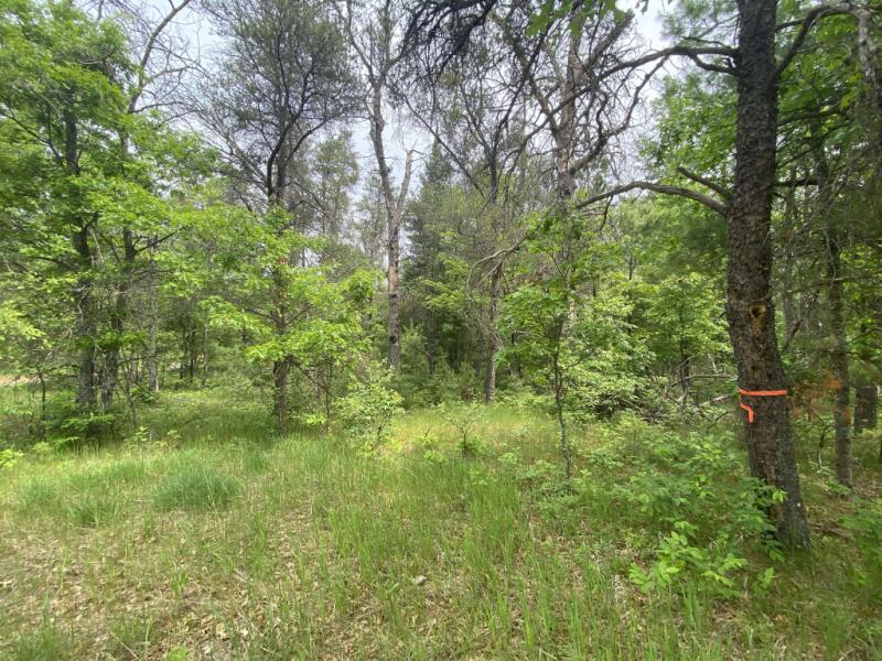 RentalsMLS Rental Main Image