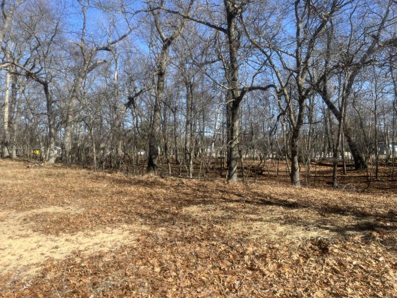 RentalsMLS Rental Main Image