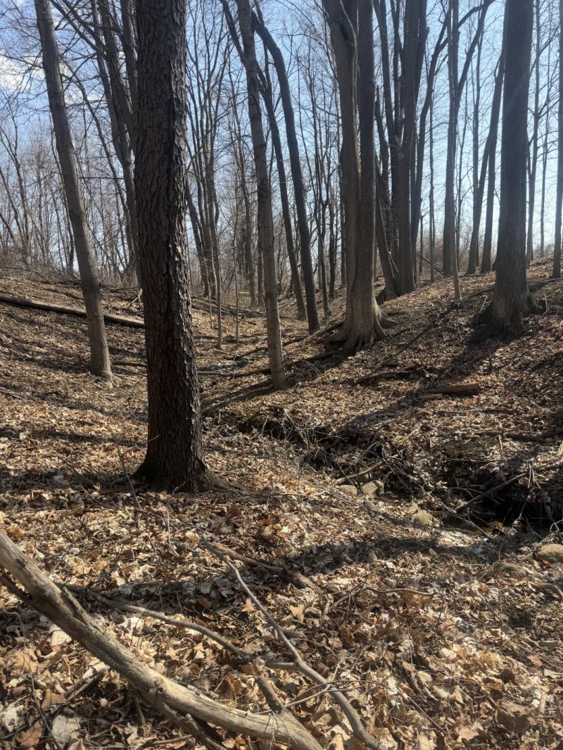 RentalsMLS Rental Additional Image