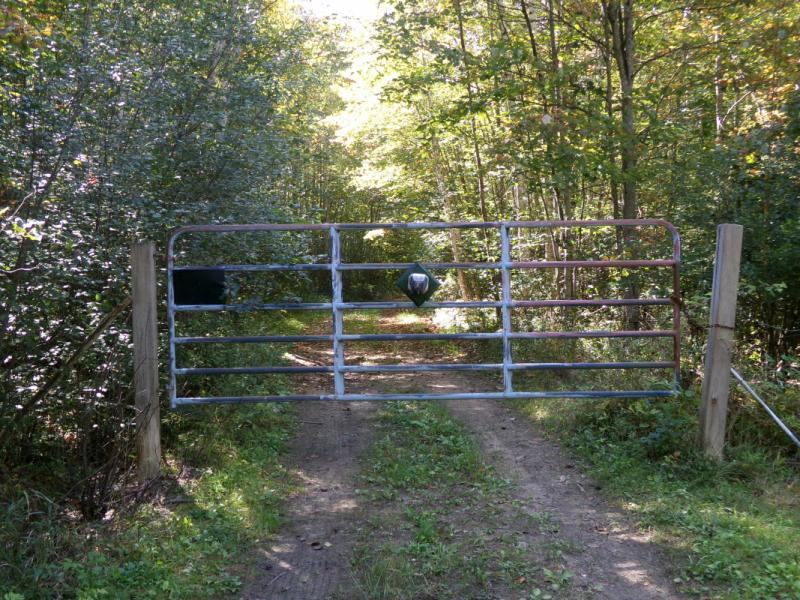 Rental 202239 Main Image