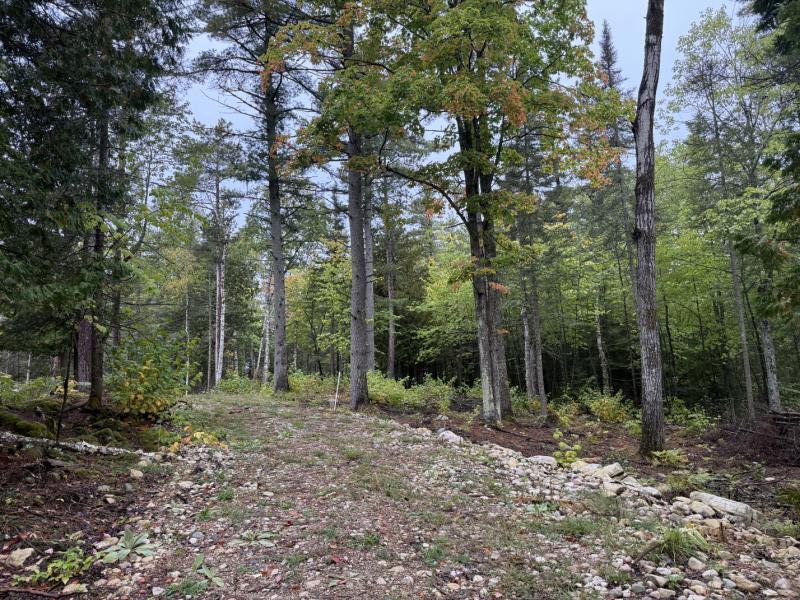 Rental 202270 Main Image