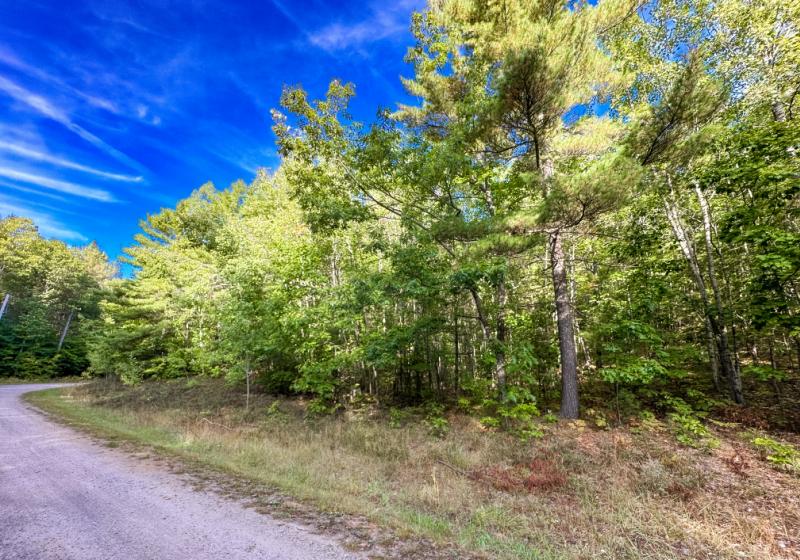 Rental 202623 Main Image