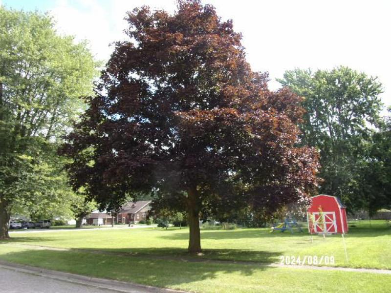 Rental 202821 Main Image