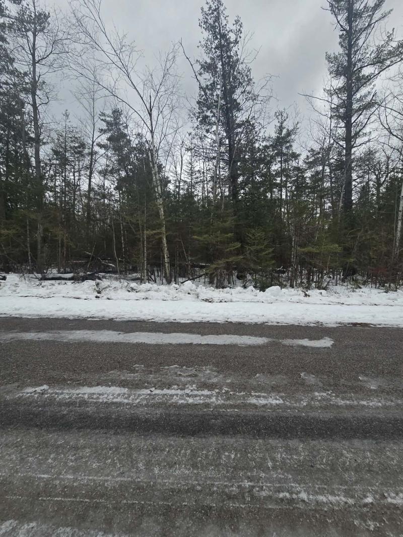 Rental 202845 Main Image