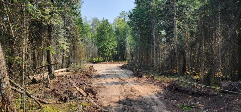 Rental 203055 Main Image