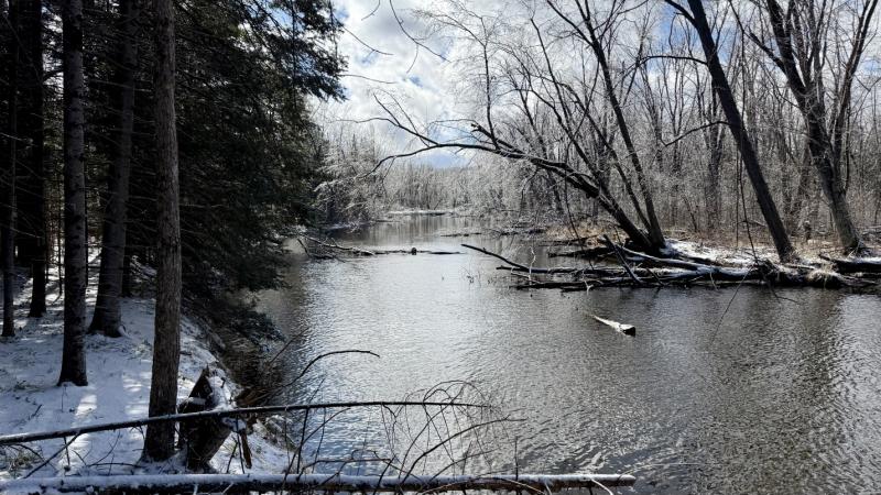 Rental 203167 Main Image