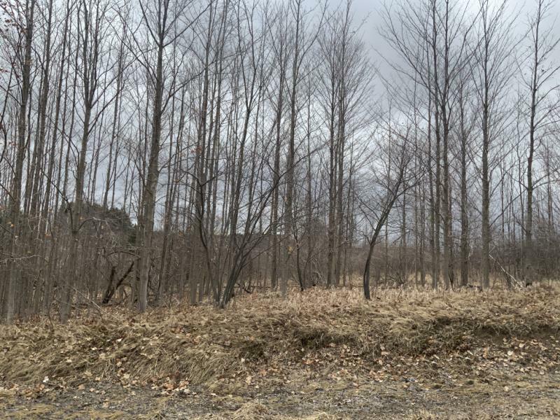 Rental 203176 Main Image