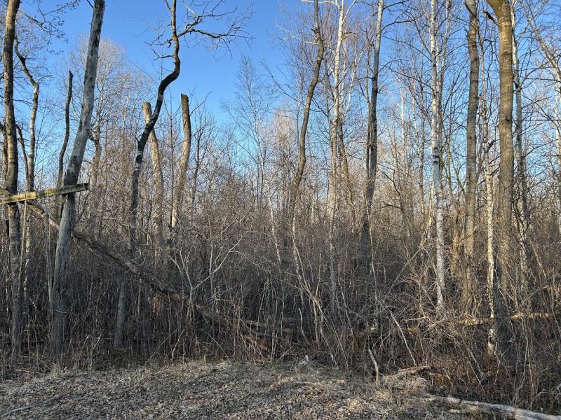 Rental 203241 Main Image