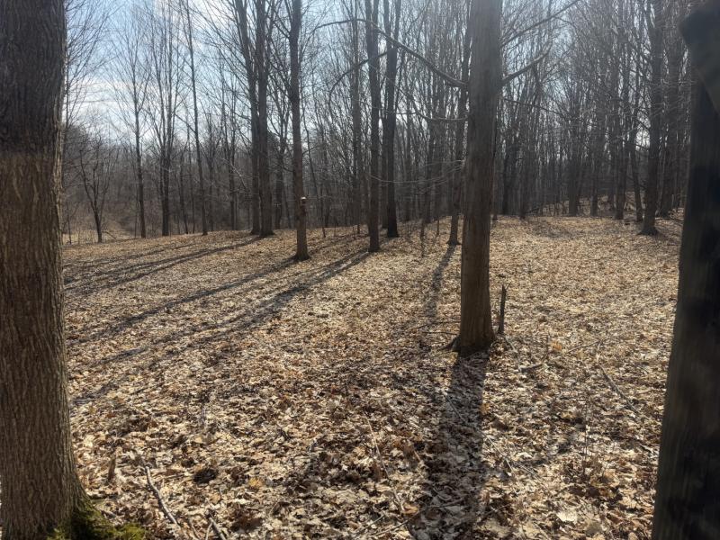 Rental 203262 Main Image